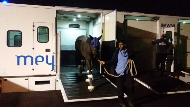 main-stay-dubai-arrival