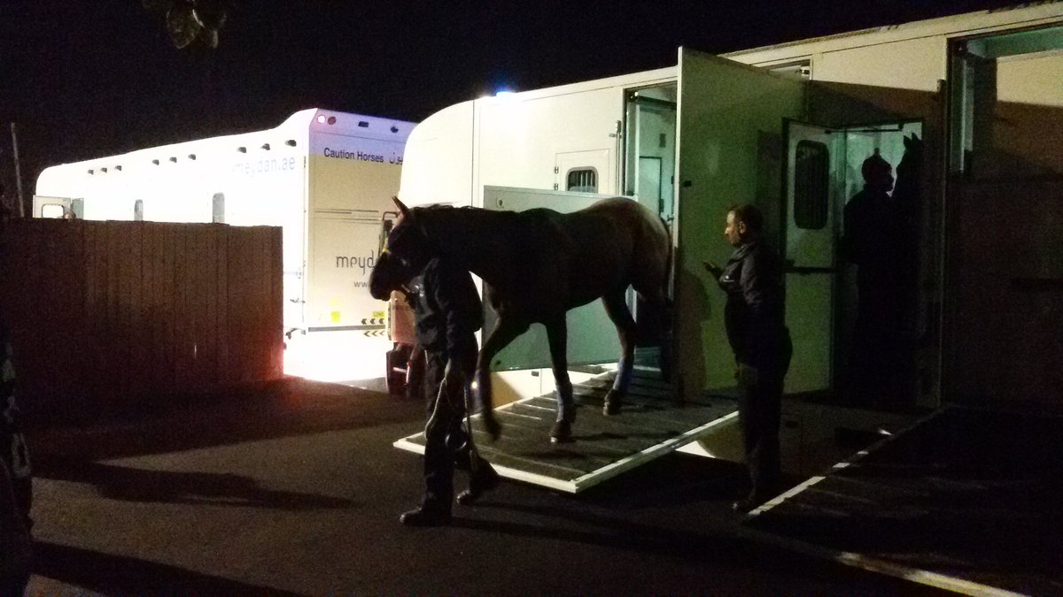 triple-nine-dubai-arrival