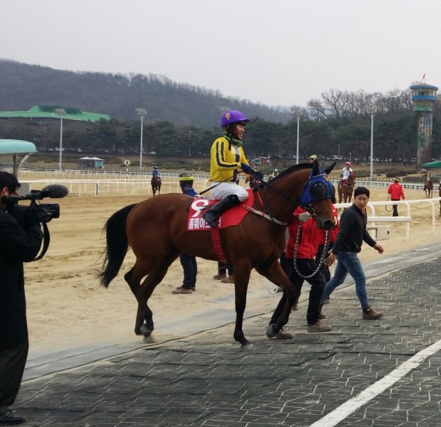 Always Winner Owners