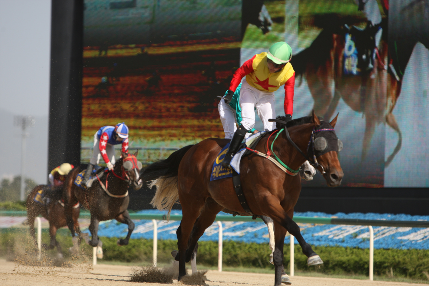 Success Story Busan Ilbo 2017