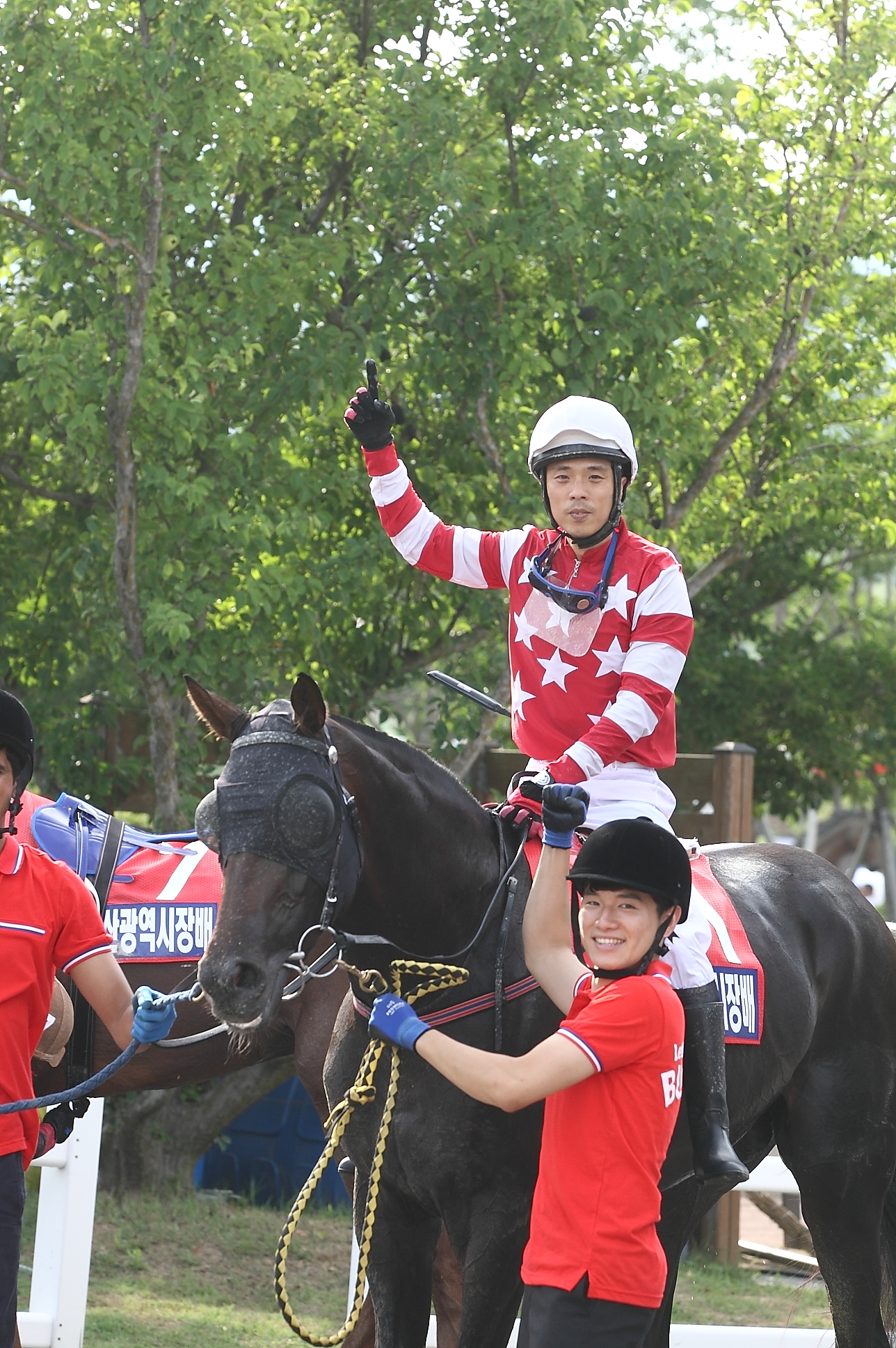 ¿ì½ÂÀÏ ±â»µÇÏ°í ÀÖ´Â ÀÌÈñÃµ ±â¼ö ¾ÆÀÓÀ¯¾îÆÄ´õ