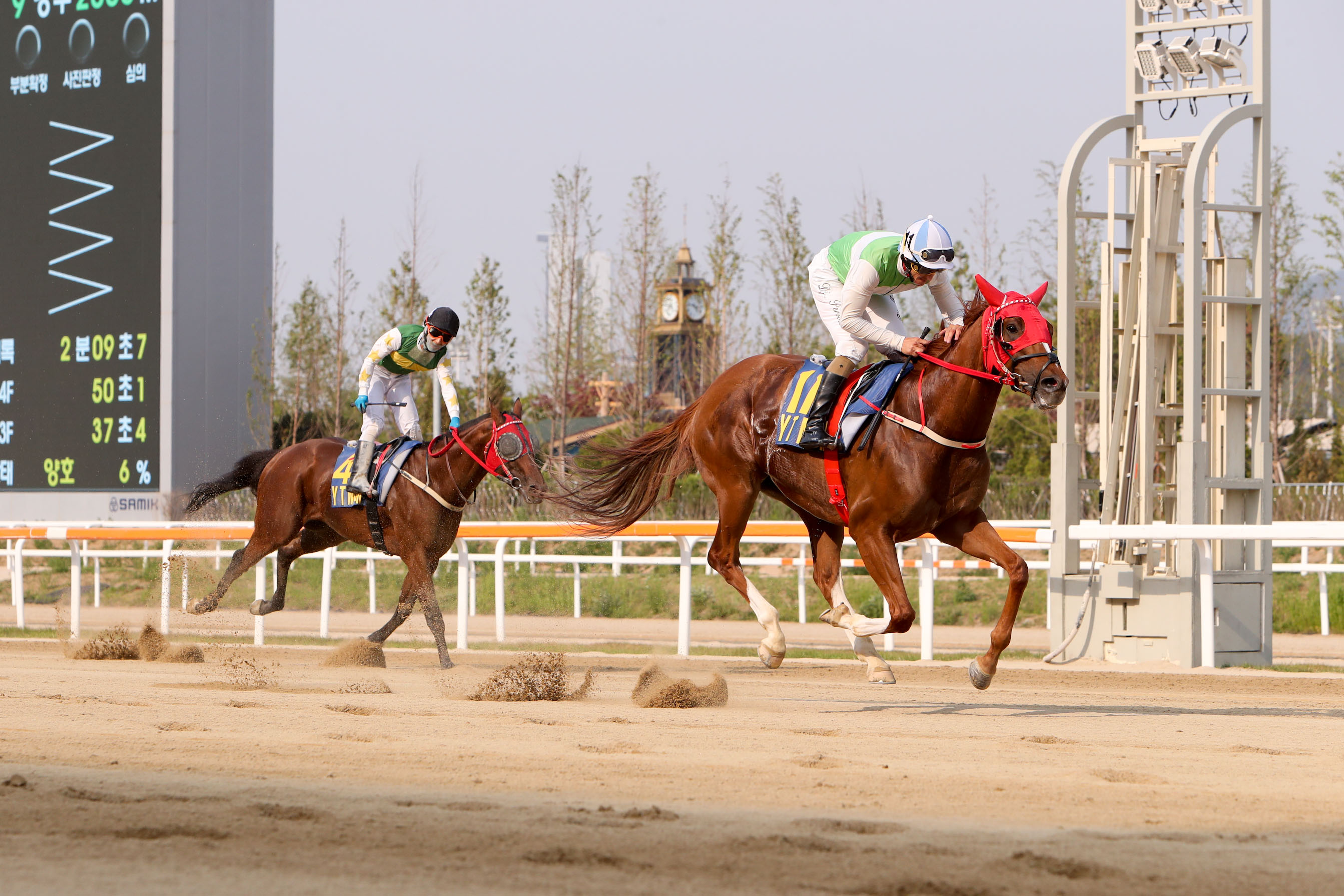 Clean Up Joy YTN Shamrocker