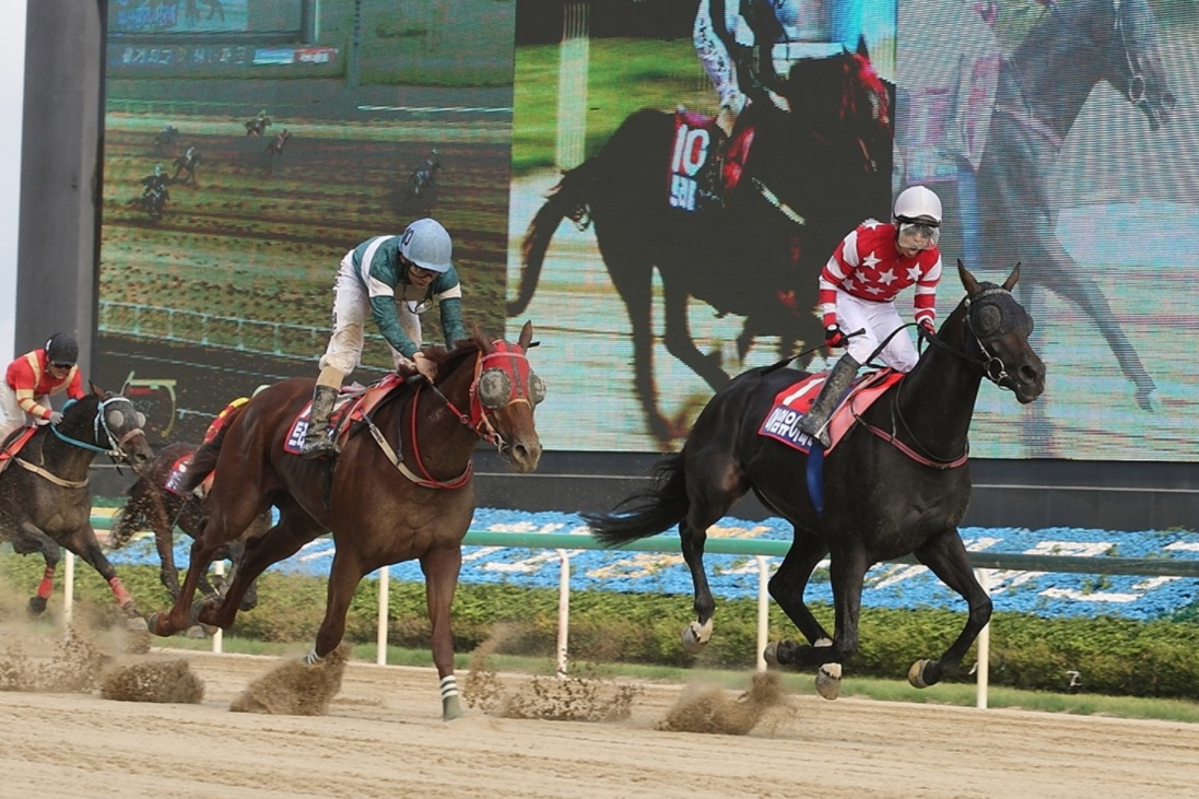 Im Your Father Triple Nine