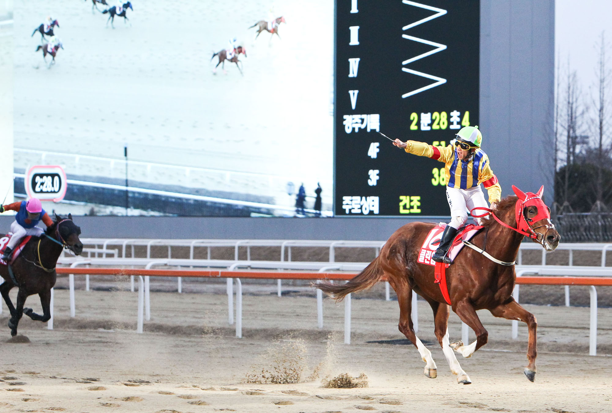 Seoul & Busan Sunday: Clean Up Joy/Triple Nine – Race-By-Race Preview ...