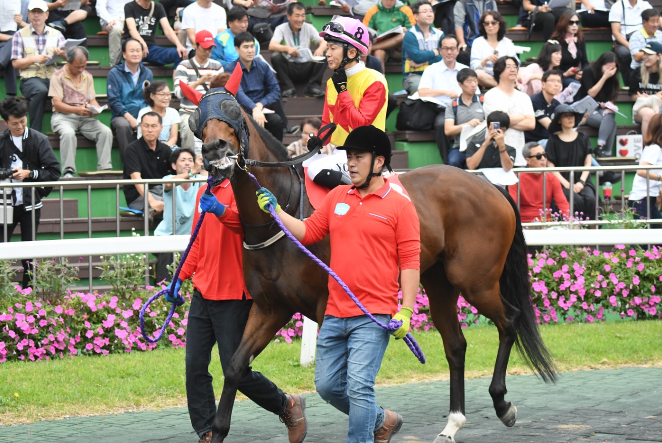 Haya at the Korea Sprint