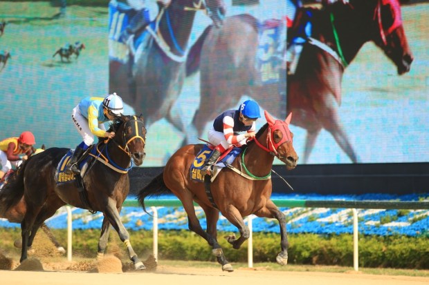 Silver Wolf Power Blade Busan Ilbo 2018