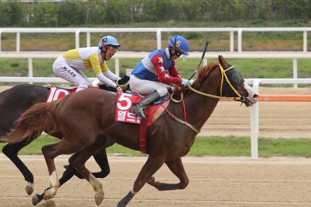 2018년6월17일 농림축산식품장관배 월드선 최시대 (2)