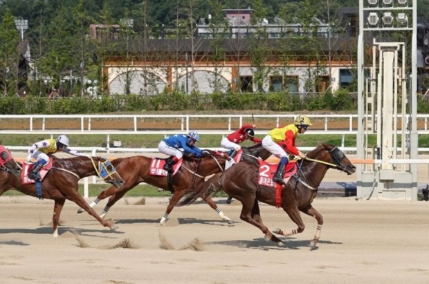 Doraonpogyeongseon SBS