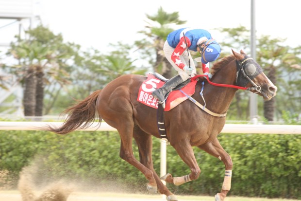 Doraonpogyeongseon Owners Cup Korea Racing Authority