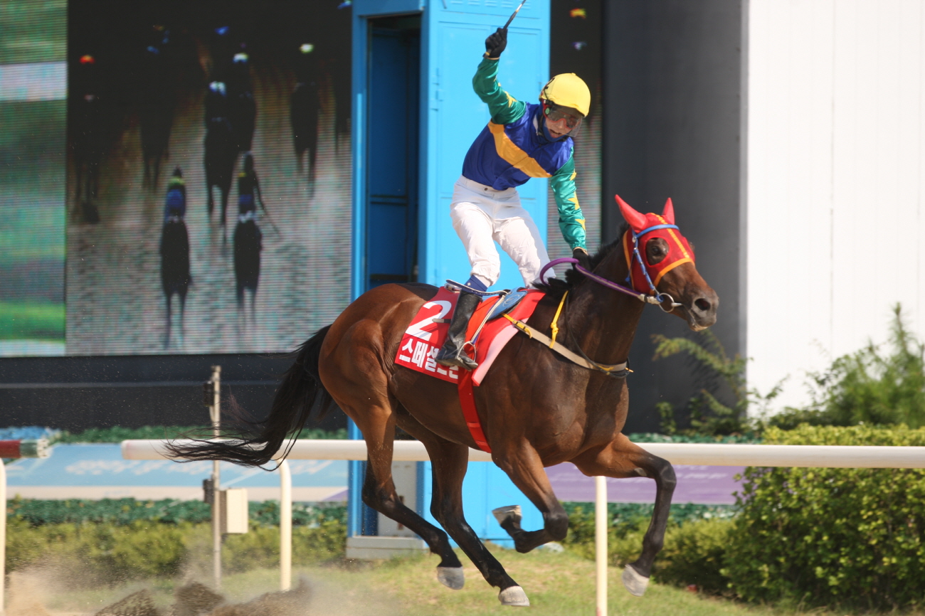 Special Stone Korea Racing Authority