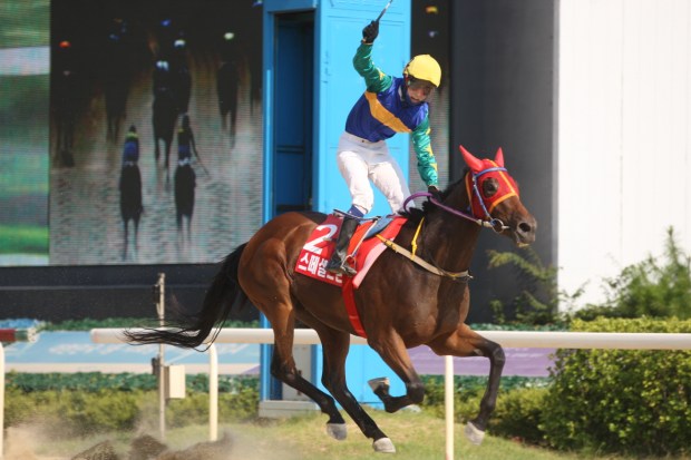 Special Stone Korea Racing Authority