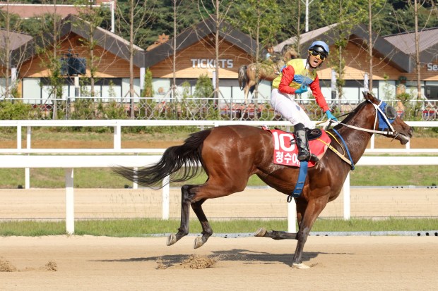 Cheongsu Yeogeol Ttukseom 2