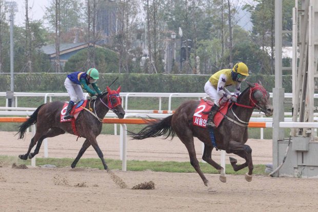 Seouri Byeol - Korea Racing Authority