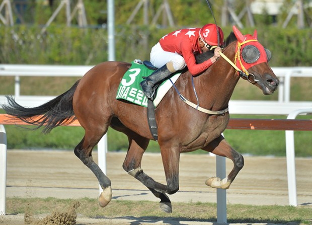 Road Winner - Korea Racing Authority