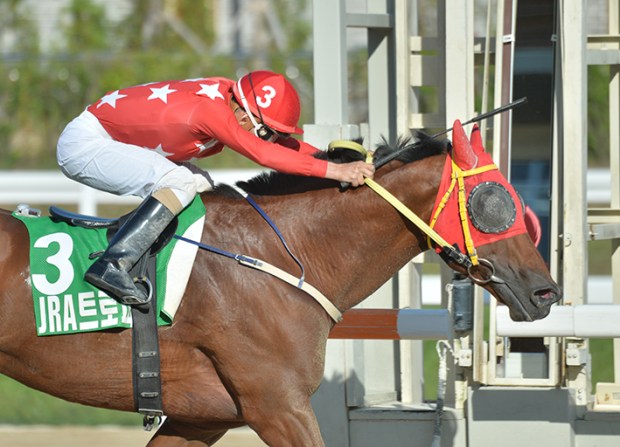 Road Winner winning the JRA Trophy - KRA