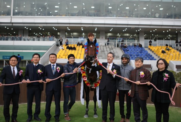 Ace Korea Wolsley KRA