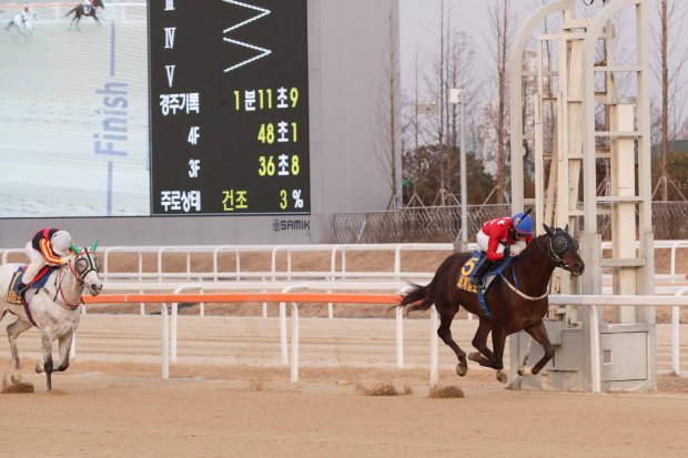 mask sinui myeongryeong