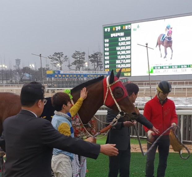 Silver Wolf 2019 Donga Ilbo