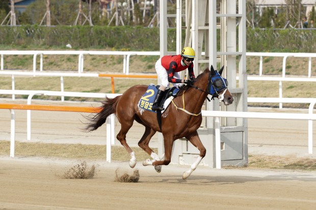 Cheongdam Dokki Herald Business KRA