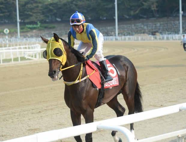 Seo Seung Un Glitter