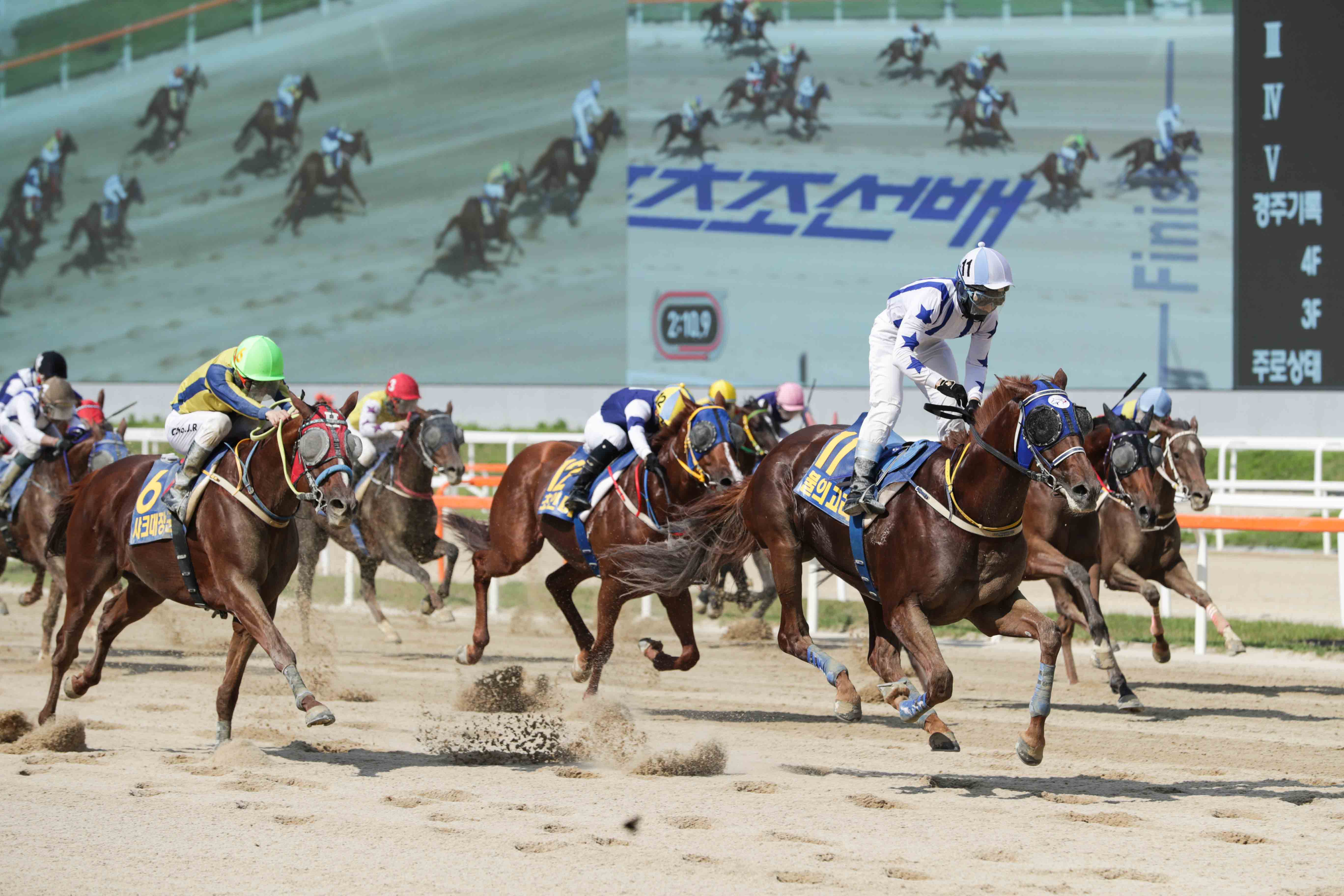 Burui Gori Sports Chosun