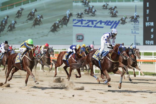 Burui Gori Sports Chosun