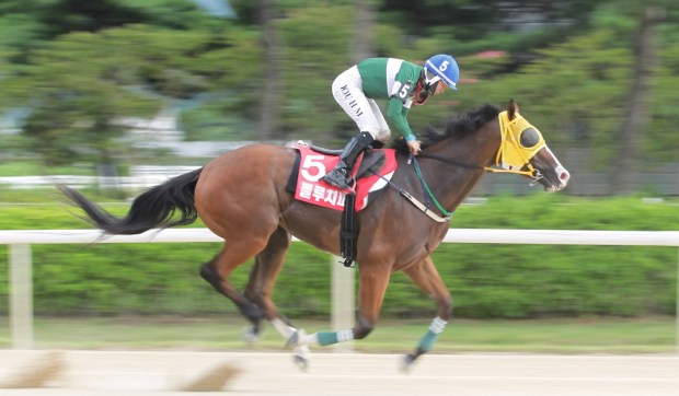 Blue Chipper Owners Cup