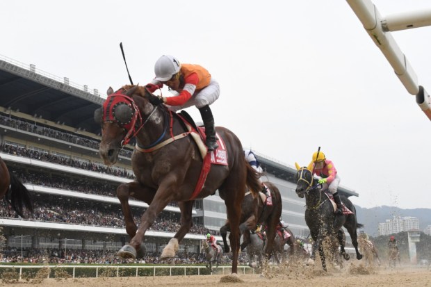 Dia Socks Sprint 2nd