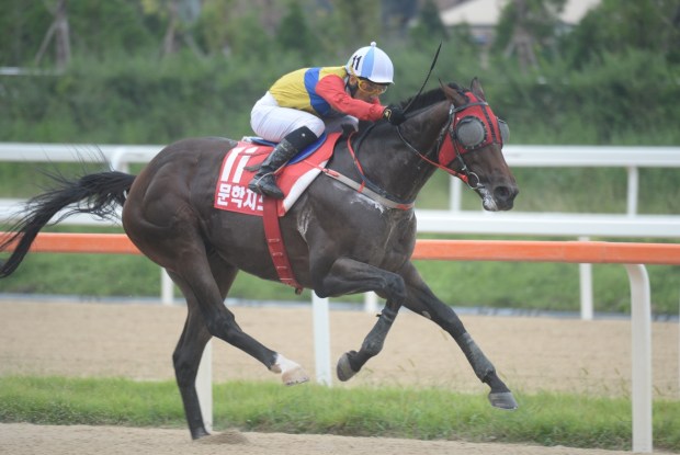 Moonhak Chief Moon Se Young Korea Cup