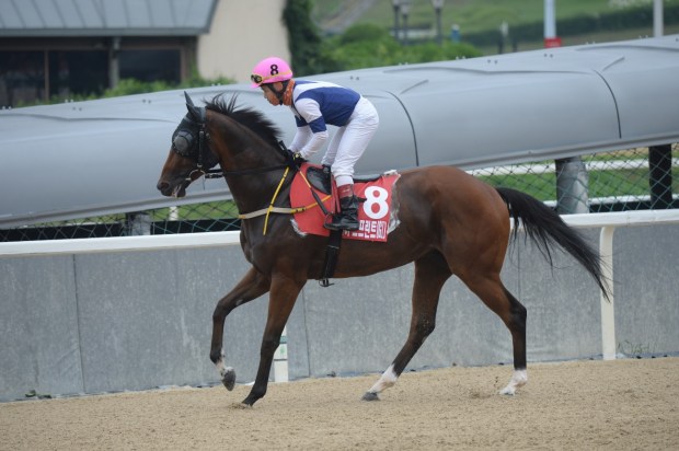 Spring Back Korea Sprint