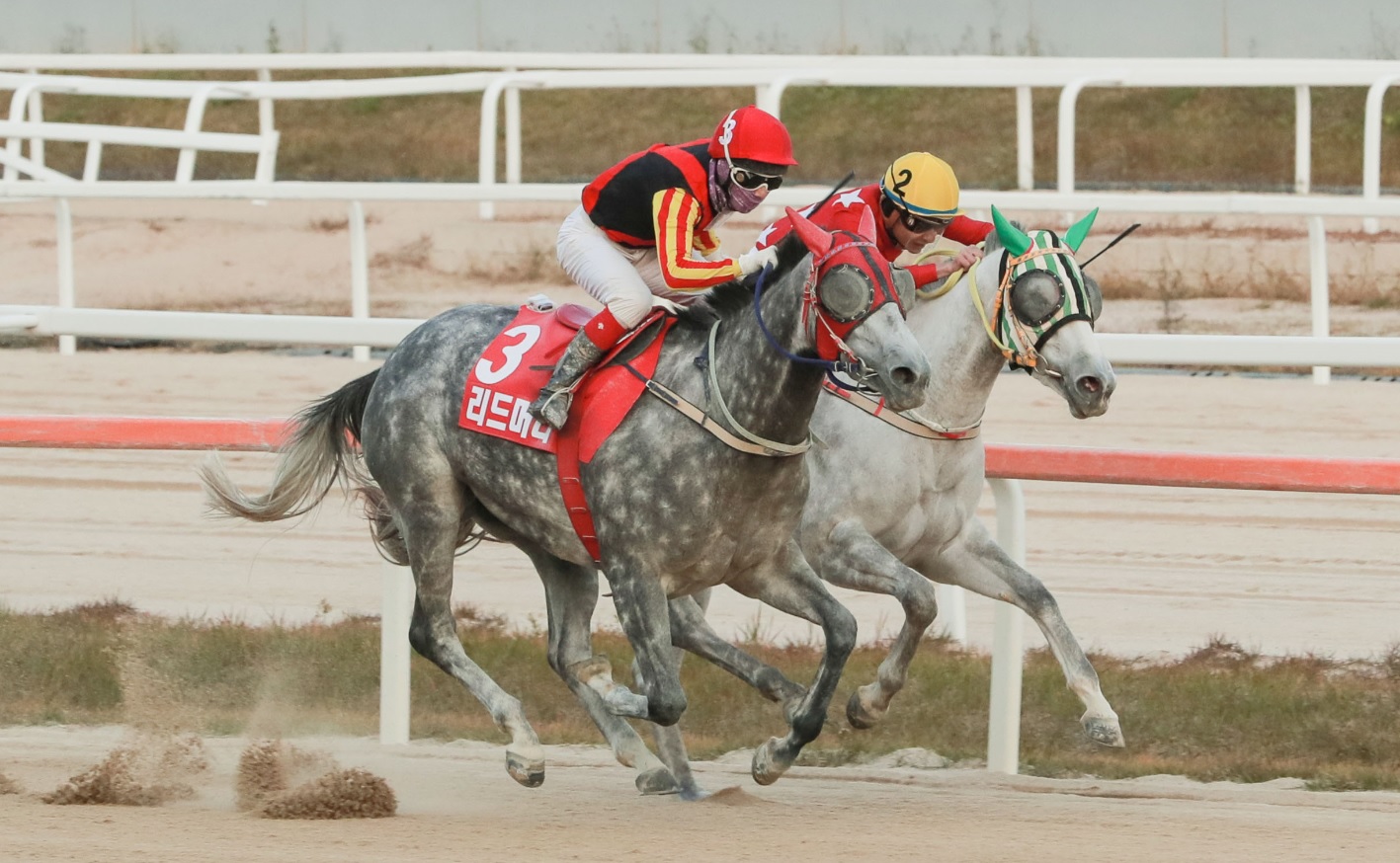 Lead Money 2018 Jeju Governor's KRA