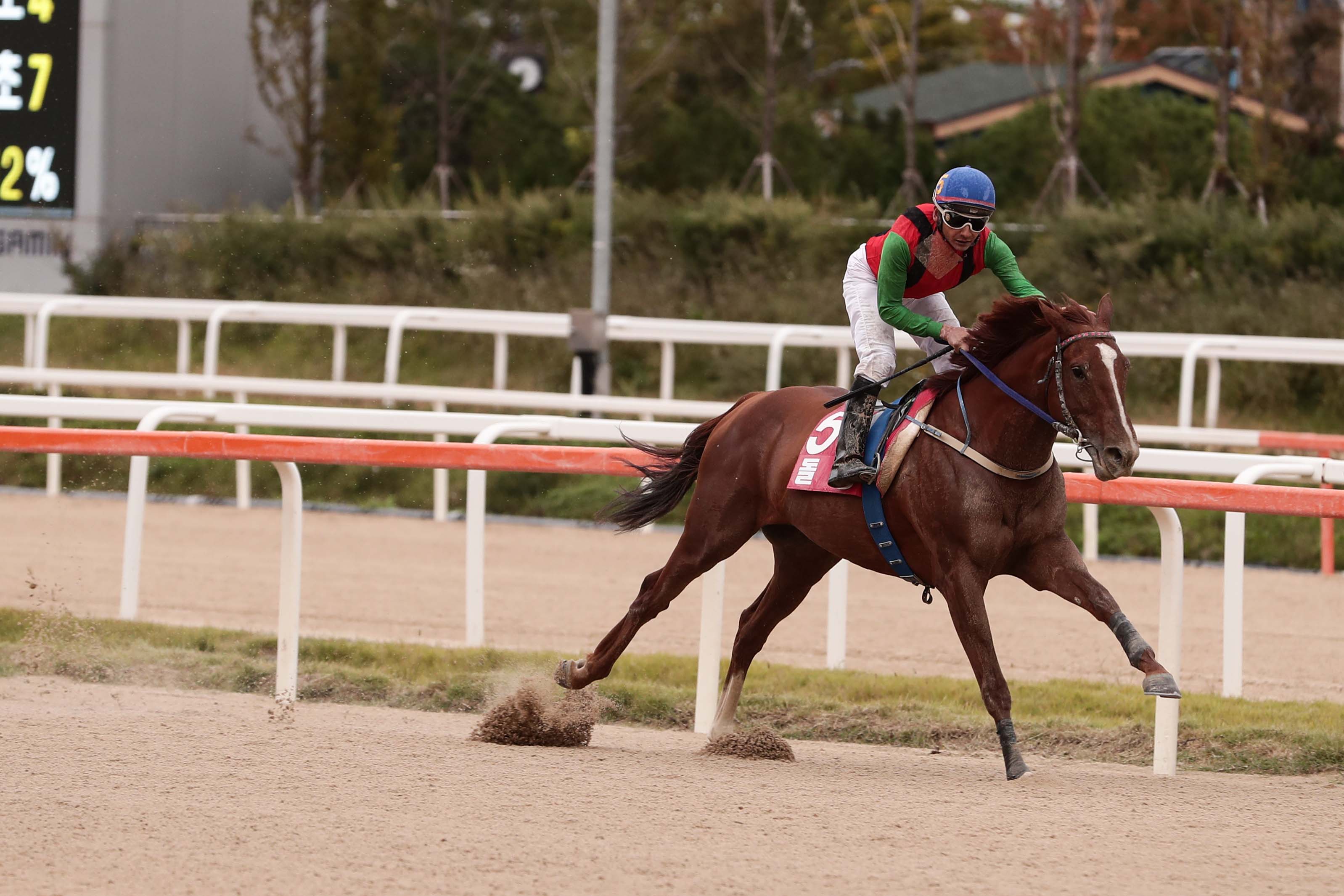 Dolkong KRA Cup Classic