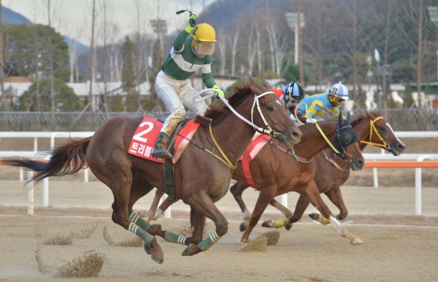 KRA Grand Prix Finish 2018 Triple Nine Cheongdam Dokki Today