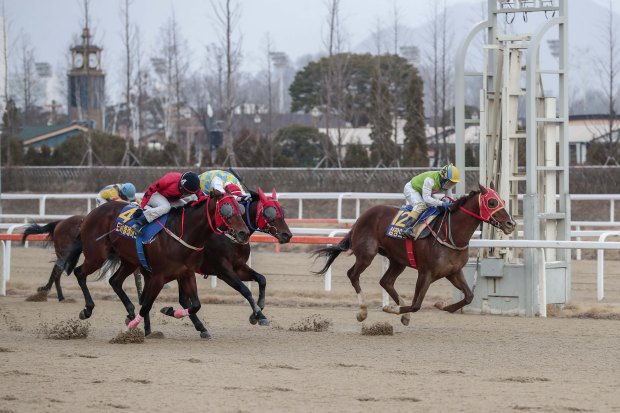 Simjangui Godong Segye Ilbo