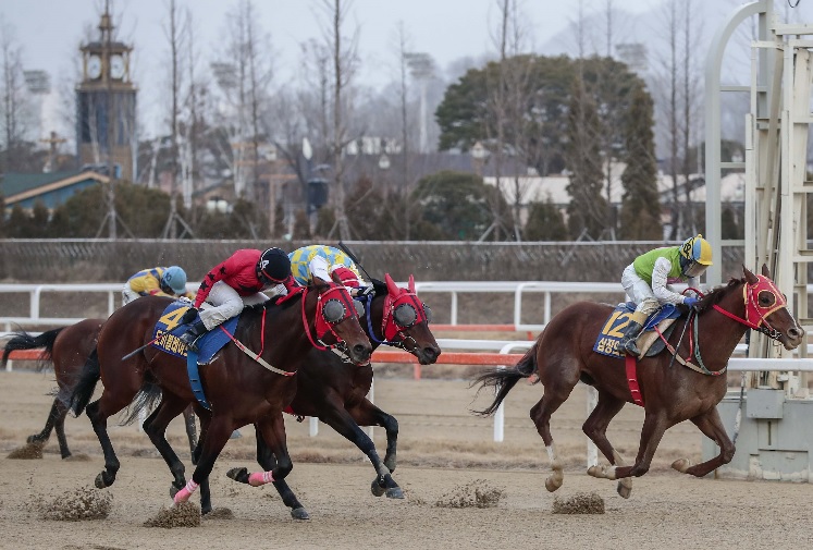 Segye Ilbo Cup 2020 Finish Simjangui Godong Do kki Blade Gaon Chamo