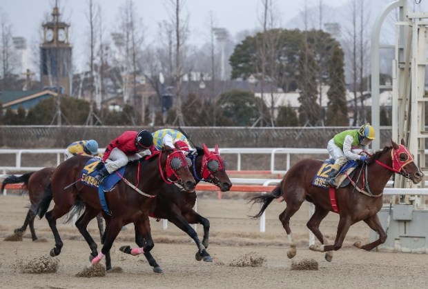 Segye Ilbo Cup 2020 Finish Simjangui Godong Do kki Blade Gaon Chamo