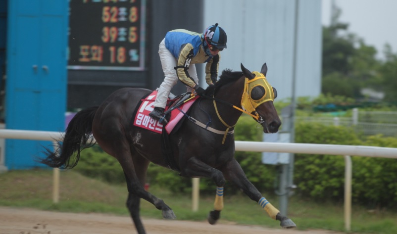 Deep Mind 2019 Korean Oaks