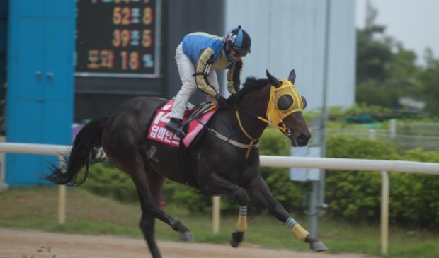 Deep Mind 2019 Korean Oaks