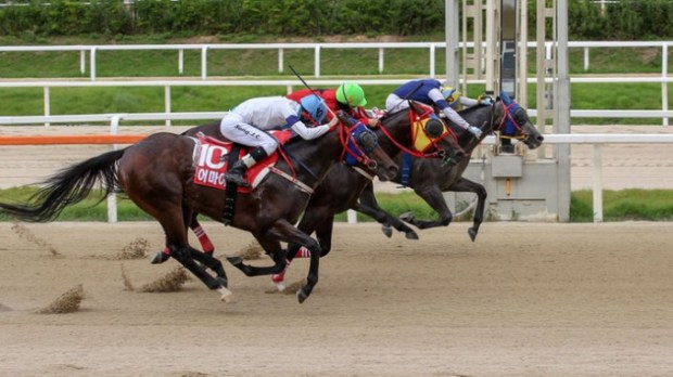 SBS Sports Sprint 2020